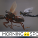 Illustration for article titled Updates From Ant-Man and The Wasp: Quantumania, Borderlands, and More
